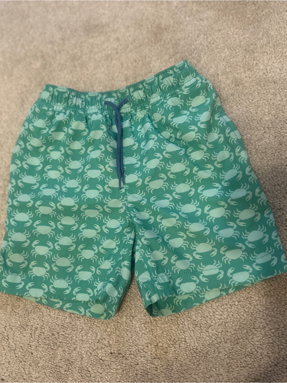 Crewcuts Swim Trunks - Boys size 5
